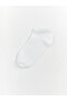 Lcw Kids Mixed Pattern Boys' Booties Socks Pack of 7 - 8