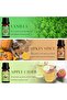 Autumn Fragrance Oils, Premium Essential Oils Gift Set Fall Diffuser Oils, Scented Oils for - 3
