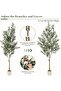 182cm Artificial Olive Tree - Home Decor - 4