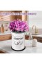 Kitchen Compost Bin Counter,1.0 Gallon Indoor Compost Bin with Lid,Compost Bucket Countertop - 2