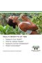 TMG(Trimethylglycine) Supplement 1000mg 180 Caps - 3