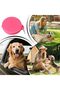 Dog Food and Water Bowl Silicone Dishwasher Safe Foldable Containers - 4