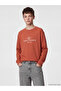 Brown Crew Neck Paris Printed Boys' T-Shirt
