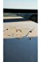 Rimi Transparent Sunglasses