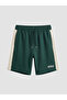 Xside Green Regular Fit Men's Shorts - 5