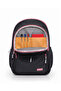School Backpack with 15.6 Inch Laptop Compartment and Large Volume Organizer - 9106-Black Powder - 4