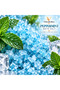 PEPPERMINT SPA SALT 5KG – COOLING & REFRESHING BATH SALT FOR BODY & FOOT SOAK - 4