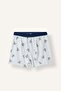 Dinosaur Printed Combed Cotton 3-Piece Boys' Set (26 Au) - 2