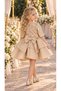 Sequined Robe, Three Quarter Sleeves, Floral Appliques, Layered Matte Satin Skirt, Bow Detail, Girls' Evening Dress, Ages 4-8, Wedding, Birthday, Special Occasion - 3