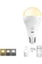 مصابيح LED قابلة لإعادة الشحن، عبوة واحدة تحتوي على 3 درجات حرارة لونية قابلة للتعتيم مع جهاز تحكم عن بعد