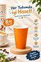 8 Oz 100 Adet