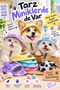Cat and Dog Hat Adjustable Pet Hat Cute Pet Accessory - 2