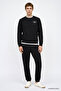Men's Navy Blue Cotton Standard Fit Regular Cut Crew Neck Skinny Leg Sweatpants Set