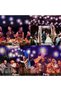 أضواء دينيك مايك ستاربرست 200 LED على شكل ألعاب نارية، أضواء كروية بسلك نحاسي مع جهاز تحكم عن بعد، 8 أوضاع إضاءة - 3