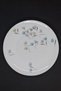 Rosenthal Selb Germany Porcelain Pasta Plate 19 cm