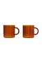 Wave Borosilicate Glass Mug Set - 2