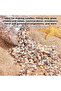 Sea Shells, 1 Can Mixed Tiny Sea Shells Small Beach Spiral Seashells Multipurpose Ocean Beach Seashe - 5
