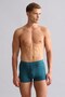 Egyptian Modal by Tencel Spartacus Plus Boxer Fit Green - 2