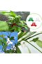 40 Pcs Plant Training Clips, Low Stress Training Clips for Plant Stem Support, 90 Degrees Plant Trai - 6