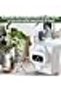 Automatic Watering System with Self Plant Watering Devices,Indoor Watering System for Potted Plants - 7