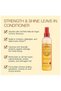 ARGAN OIL STRENGTH & SHINE LEAVE IN CONDITIONER 250ML - 2