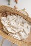 100% Cotton Multi-Purpose Boxed Premium Muslin Blanket Oeko-Tex Certified 100 X 100 cm (Cream Animal Kingdom) - 3
