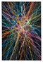 Sdt Mixed Patterned Modern Woven Base Decorative Carpet Sdtamor1570 - 3