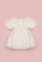 Girl's Dress with Cream Rose Textured Tulle Skirt - Dara - 3