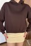 Women's Hooded Basic Sweatshirt Brown - 27K 2672 - 2