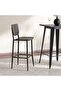 Regner Bar Stool Wood - Dark Brown