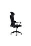 Aniza Office High Back Chair Mesh Fabric - Black - 5