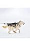 حزام سحب للكلاب (مقاس M، اسود) لتمرين زلاجات الكلاب،Dog Pulling Harness Adjustable Sleds Pro Harness - 3