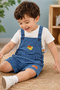 Boys Woven Dungaree - 4
