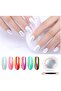Holographic Chrome Nail Powder,Mirror Surface Neon Shell Glitter for Nail Art Decoration,1 Piece