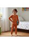 Boy's Cotton Fox Figure Printed Long Sleeve 2-Piece Set Cb1072 - 3