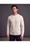 Men's crew neck striped knitwear
