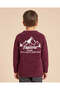 Boys Burgundy Printed Chenille Jumper - 4