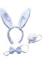 Rabbit Costume Set Crown Bow Tie Tail White Color (K0)