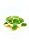 Cute Plush Turtle 30 cm - 2