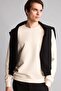 Cotton Regular Fit Basic Sweatshirt (26 Au)