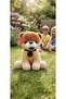 Cute Assorted Boo Breed Plush Dog 30 cm Soft Toy with Black Leash Gift Plush Dog