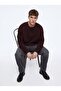Regular Fit Letter Printed Crew Neck Brown Sweatshirt - 2