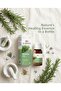 Natural Rosemary Oil 20 ml - - 2