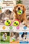 3 Pack Colorful Patterned Tennis Balls Cat Dog Toy Paw Printed Play Ball - 2