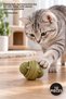 10 Pieces Catnip Play Ball – Catnip Ball, Fun Interactive Toy for Cats, Helps Clean Teeth, Portable