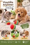3-Pack 4.2 cm Rainbow Sponge Cat Dog Play Ball Chew and Roll Toy - 2