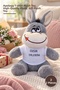 2 Plush Donkeys – Plush Toy with T-Shirt and Apology Written on It, High Quality Plush, Gift Plush Toy