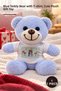 1 Piece Plush Teddy Bear – Couple Themed Blue Bear with T-Shirt, Gift Cute Plush Toy, Plush Teddy