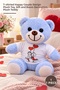 1 Piece Plush Teddy Bear – Happy Couple Design Plush Toy with T-Shirt, Gift and Room Decoration, Plush Teddy