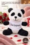 1 Piece Plush Panda – with I Love You Printed on T-Shirt, Black and White Plush, 25 Cm, Cute Gift Plush Panda